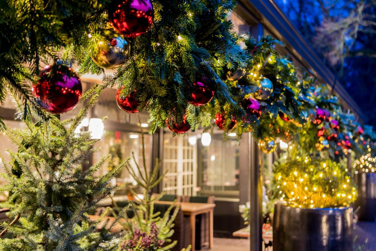 Kerstgroen en lichtjes in de serre van De Wolfsberg